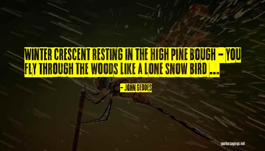Winter Poetry Quotes By John Geddes Winter Poetry Quotes By John Geddes