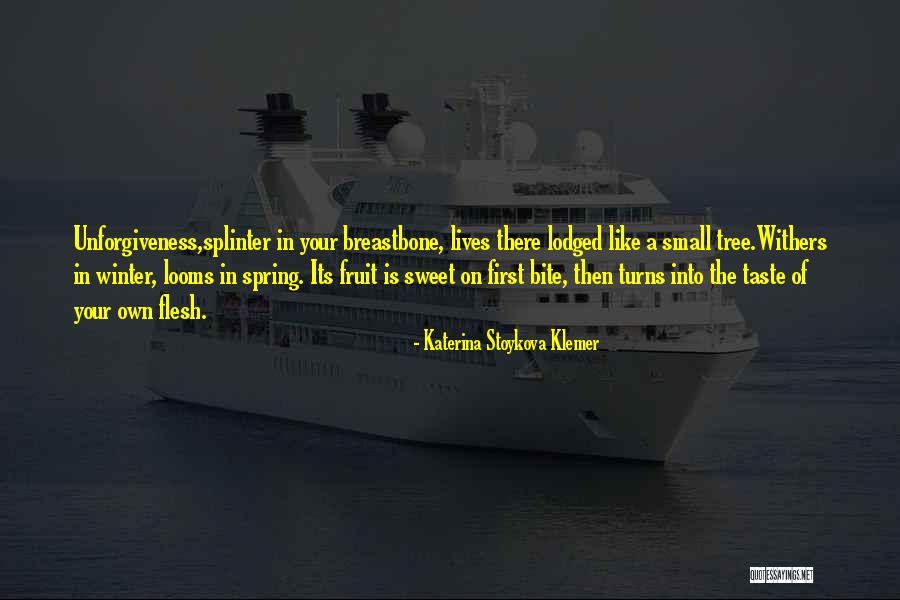 Winter Poetry Quotes By Katerina Stoykova Klemer Winter Poetry Quotes By Katerina Stoykova Klemer