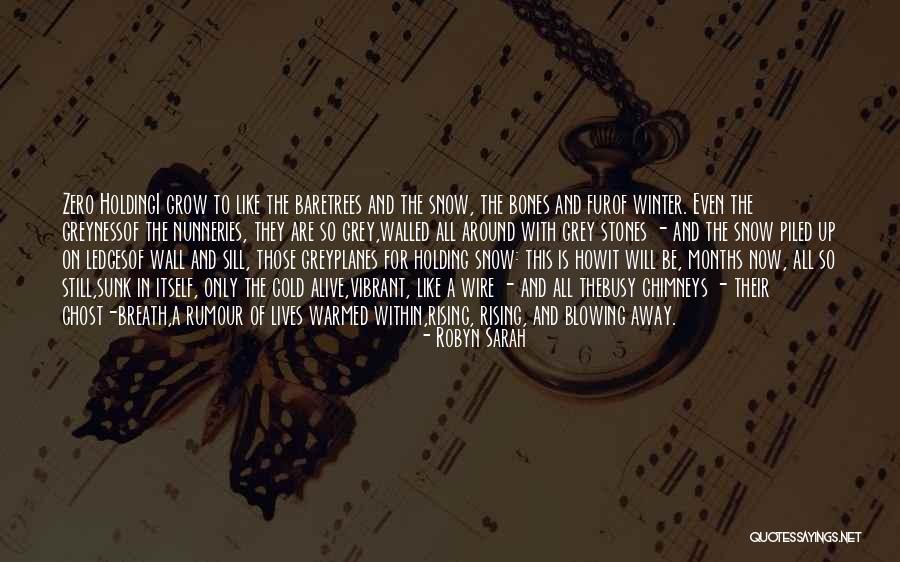 Winter Poetry Quotes By Robyn Sarah Winter Poetry Quotes By Robyn Sarah