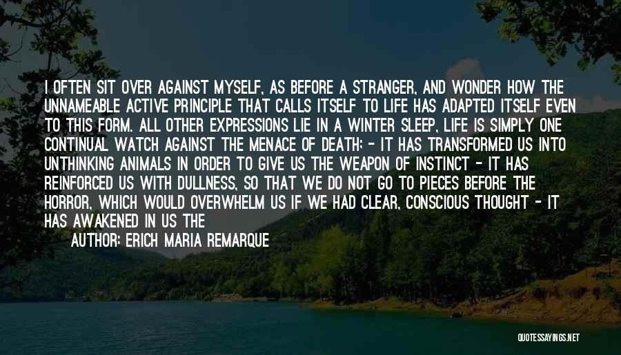 Winter Sleep Quotes By Erich Maria Remarque