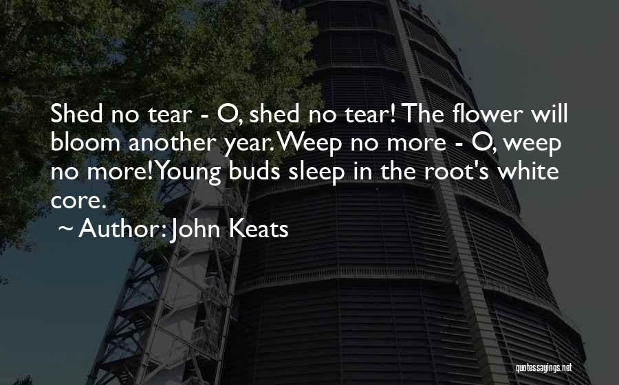 Winter Sleep Quotes By John Keats