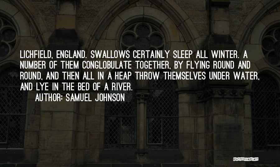 Winter Sleep Quotes By Samuel Johnson