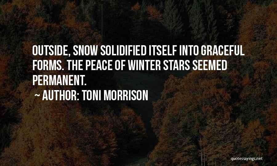 Winter Snow Quotes By Toni Morrison