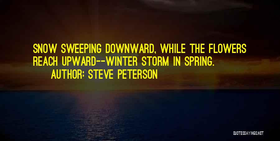 Winter Snow Storm Quotes By Steve Peterson