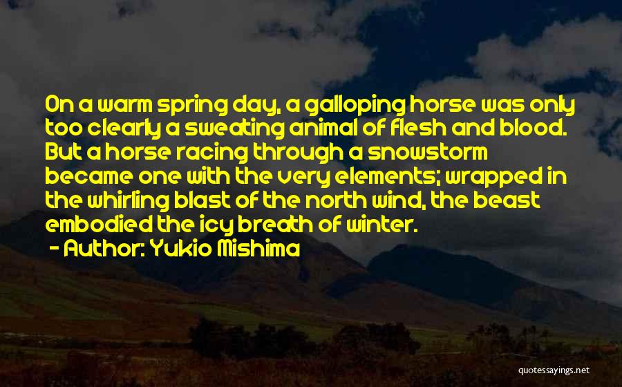 Winter Snowstorm Quotes By Yukio Mishima