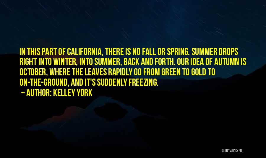 Winter Spring Summer Fall Quotes By Kelley York