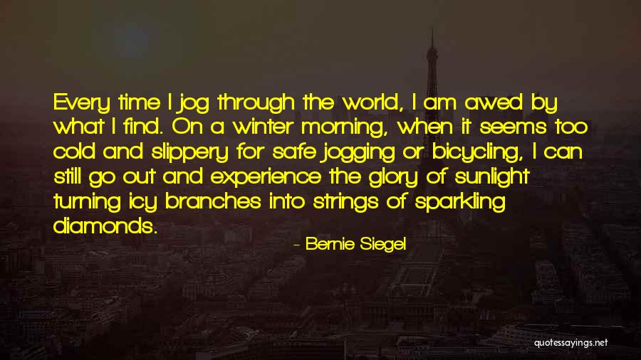 Winter Sunlight Quotes By Bernie Siegel