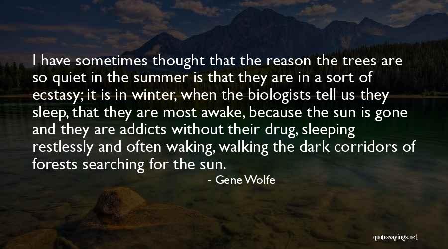 Winter Sunlight Quotes By Gene Wolfe