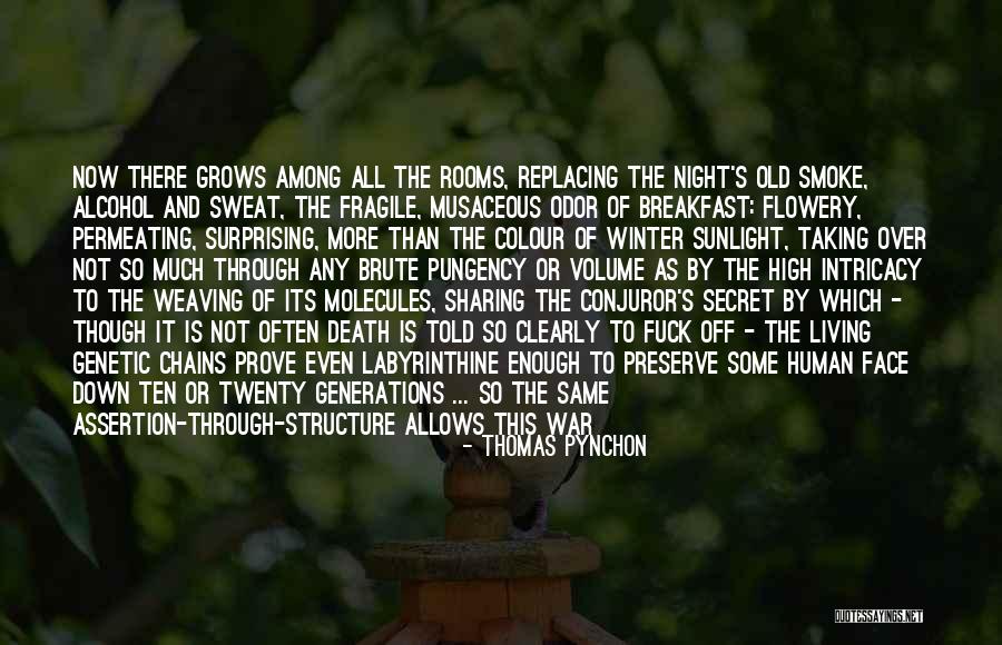 Winter Sunlight Quotes By Thomas Pynchon Winter Sunlight Quotes By Thomas Pynchon