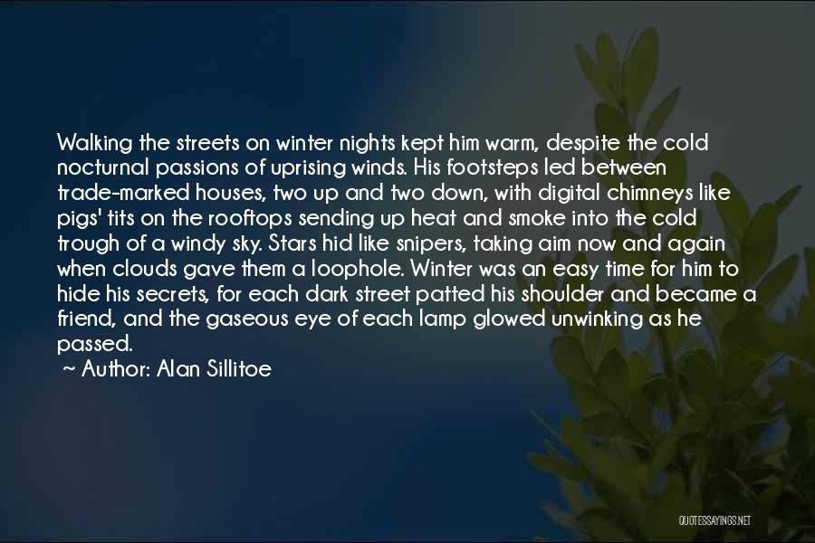 Winter Time Cold Quotes By Alan Sillitoe