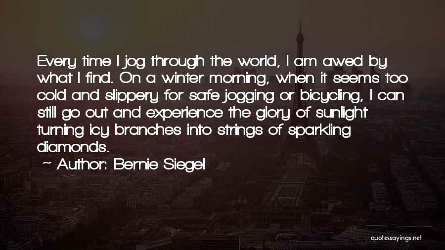 Winter Time Cold Quotes By Bernie Siegel