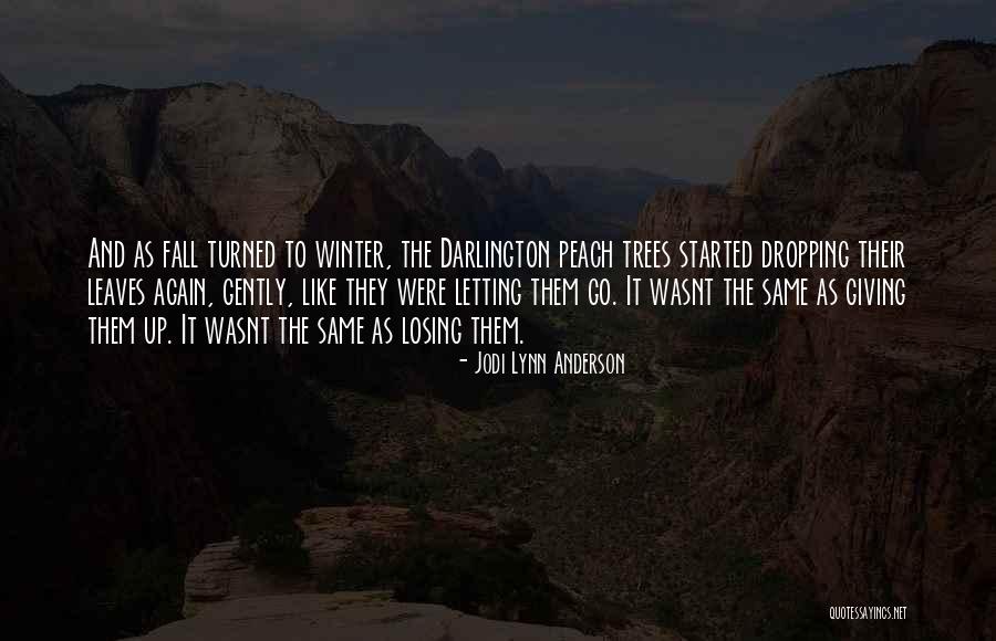 Winter Trees Quotes By Jodi Lynn Anderson Winter Trees Quotes By Jodi Lynn Anderson