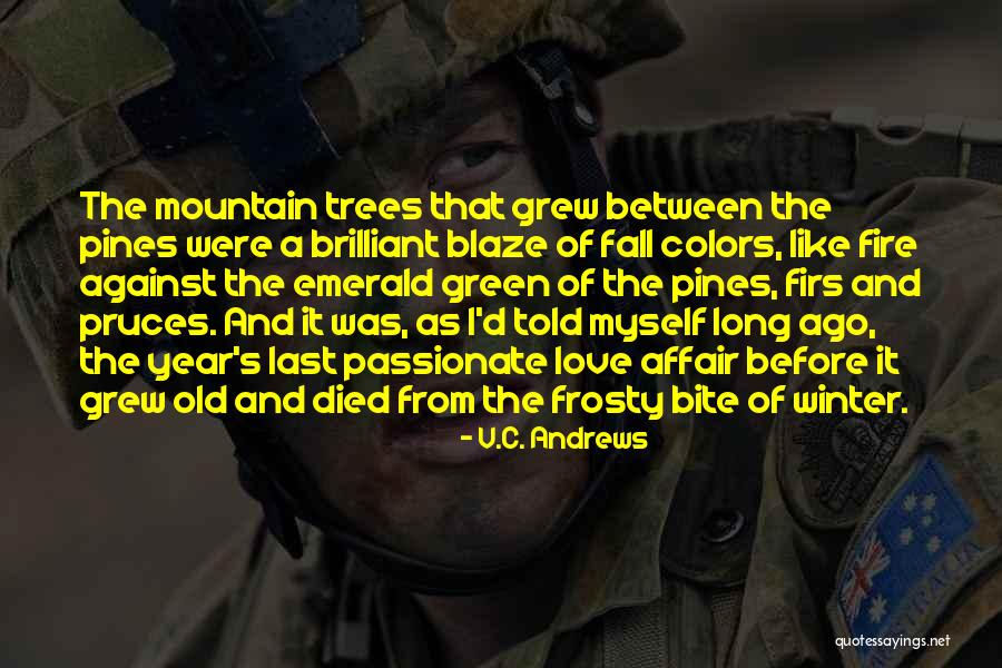 Winter Trees Quotes By V.C. Andrews Winter Trees Quotes By V.C. Andrews