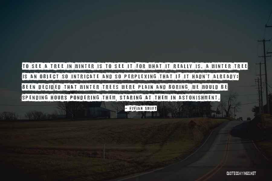 Winter Trees Quotes By Vivian Swift Winter Trees Quotes By Vivian Swift