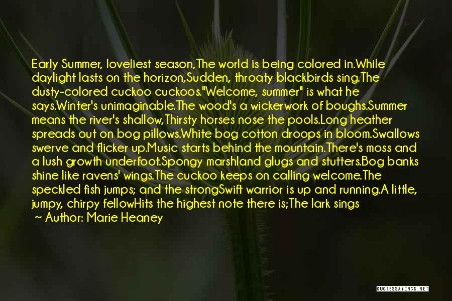 Winter Vs Summer Quotes By Marie Heaney