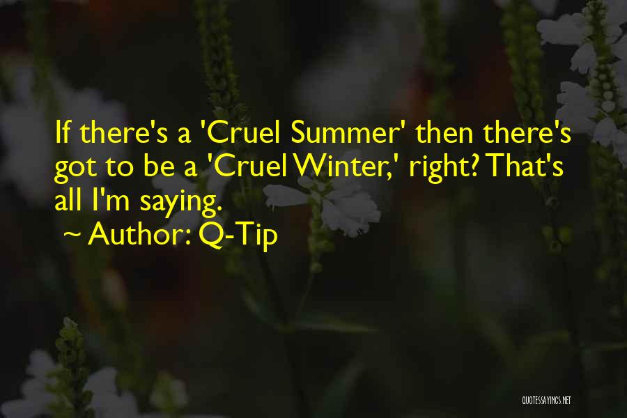 Winter Vs Summer Quotes By Q-Tip
