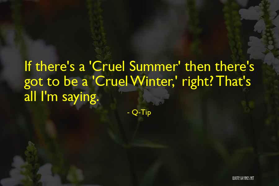 Winter Vs Summer Quotes By Q-Tip