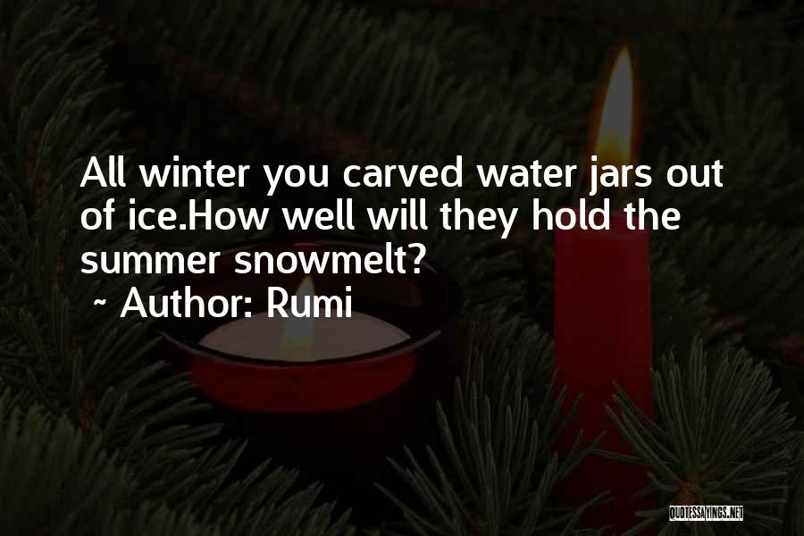 Winter Vs Summer Quotes By Rumi