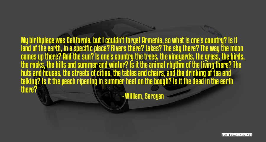 Winter Vs Summer Quotes By William, Saroyan