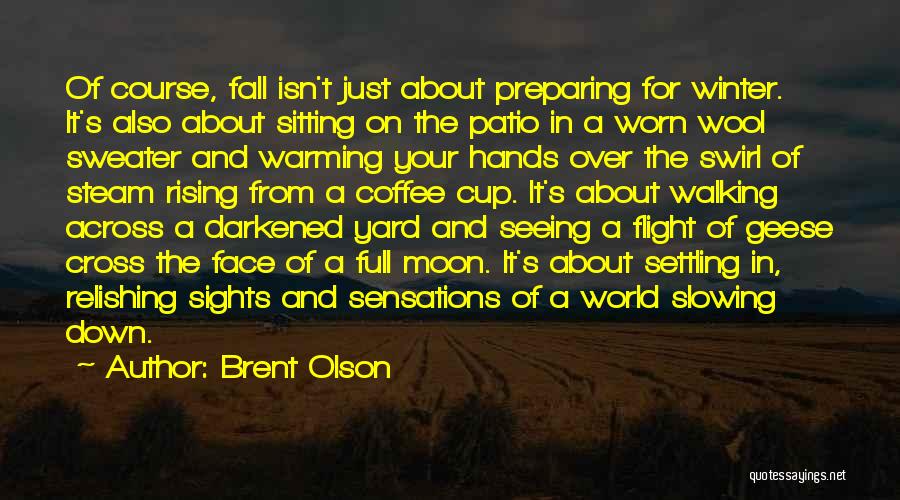 Winter Warming Quotes By Brent Olson