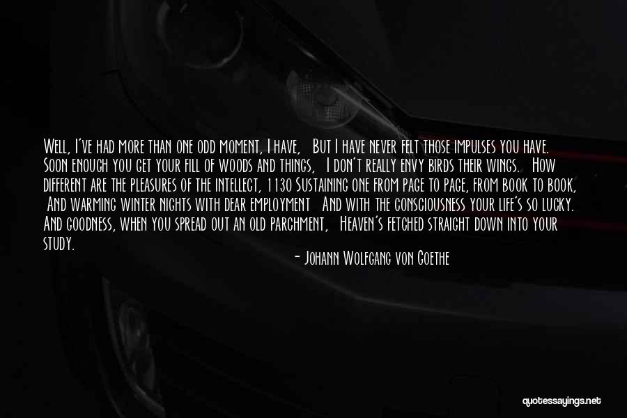 Winter Warming Quotes By Johann Wolfgang Von Goethe Winter Warming Quotes By Johann Wolfgang Von Goethe