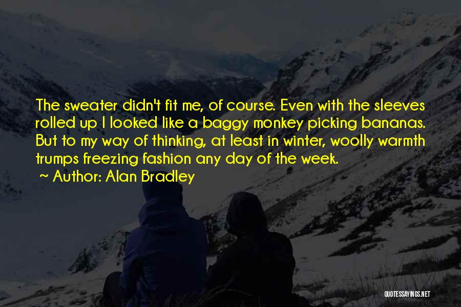 Winter Warmth Quotes By Alan Bradley