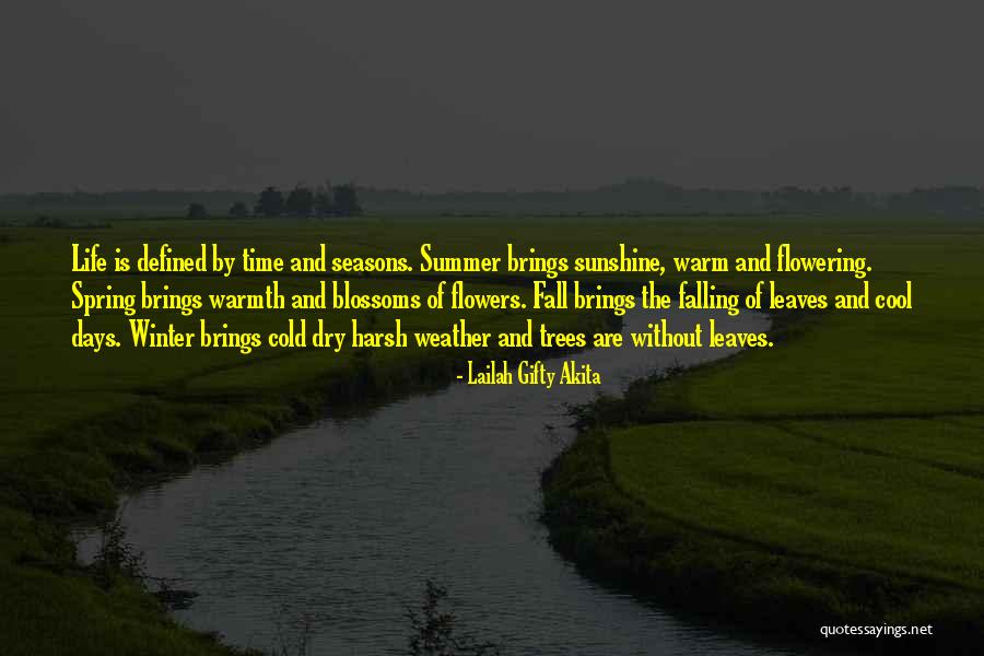 Winter Warmth Quotes By Lailah Gifty Akita