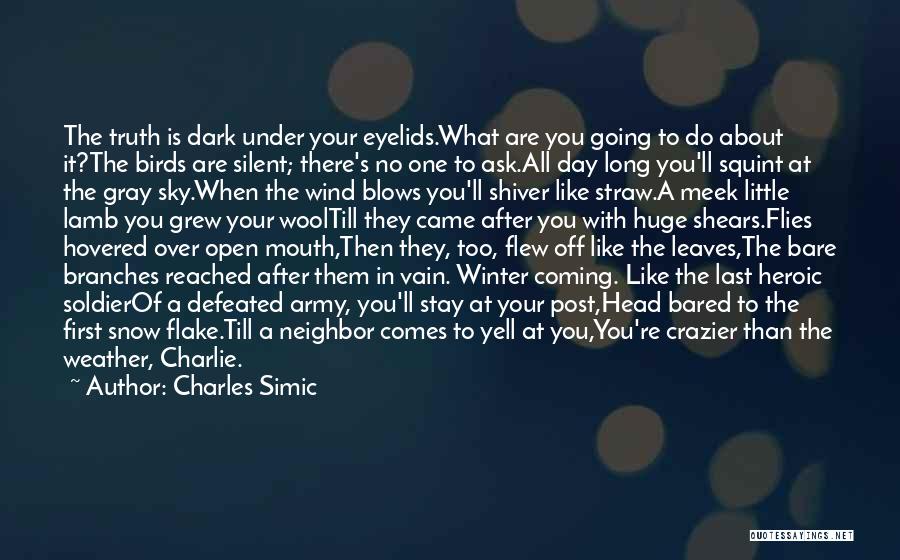 Winter Weather Quotes By Charles Simic