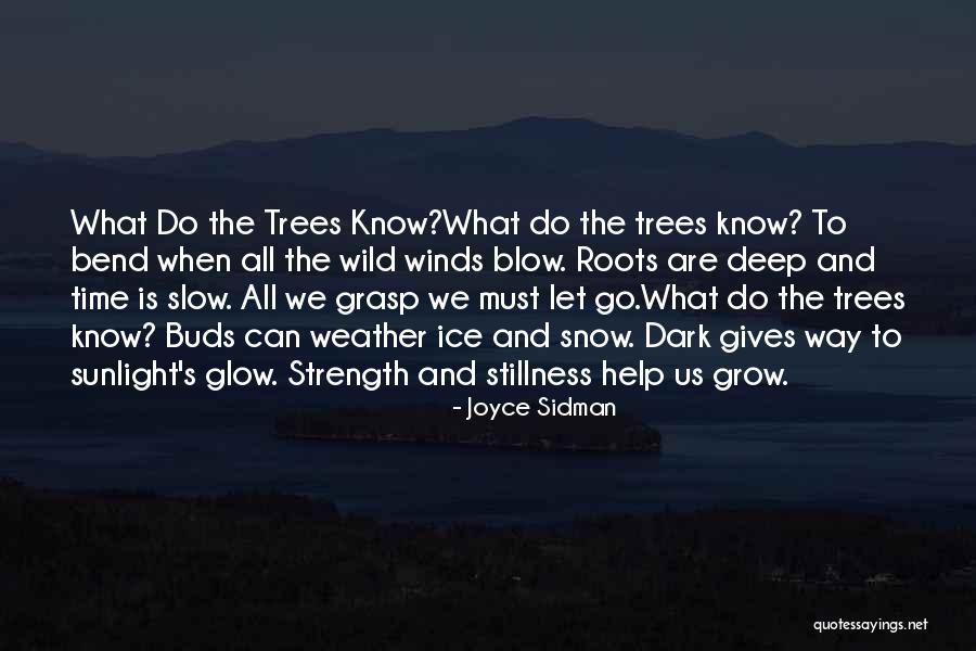 Winter Weather Quotes By Joyce Sidman