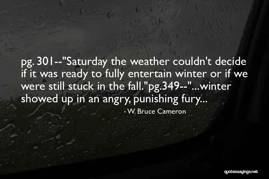 Winter Weather Quotes By W. Bruce Cameron