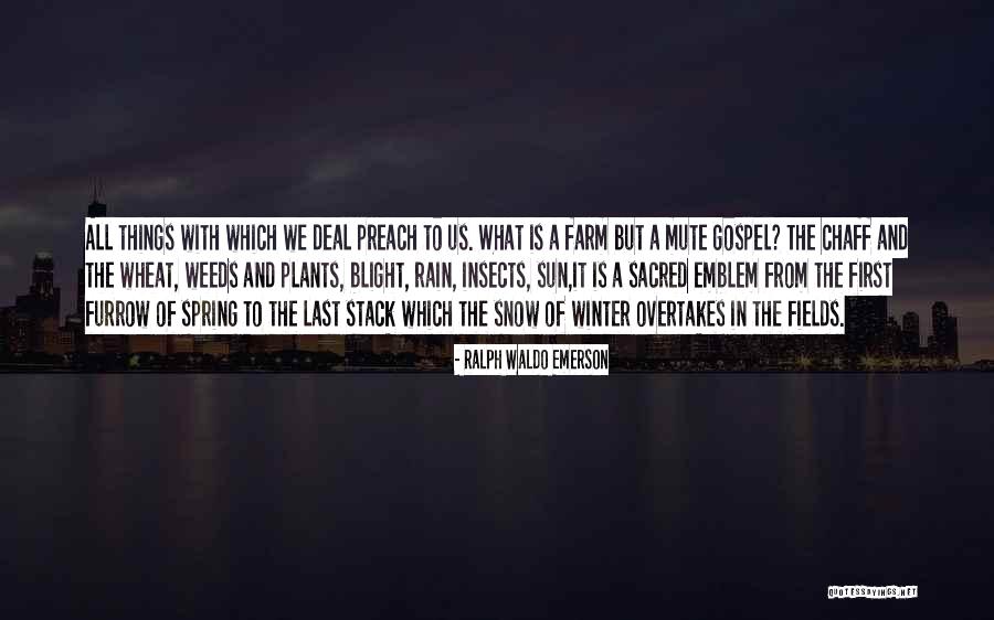 Winter Wheat Quotes By Ralph Waldo Emerson Winter Wheat Quotes By Ralph Waldo Emerson