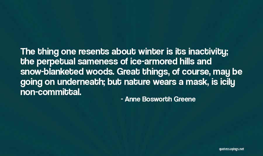 Winter Woods Quotes By Anne Bosworth Greene