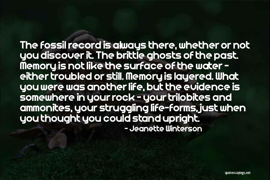 Winterle Olson Quotes By Jeanette Winterson Winterle Olson Quotes By Jeanette Winterson