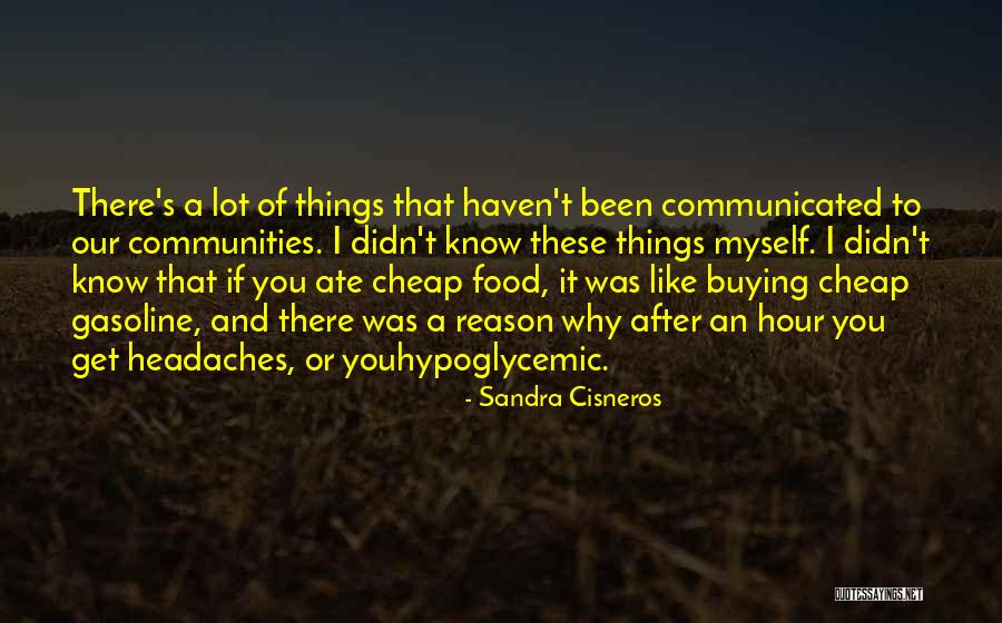 Winther Kangaroo Quotes By Sandra Cisneros Winther Kangaroo Quotes By Sandra Cisneros