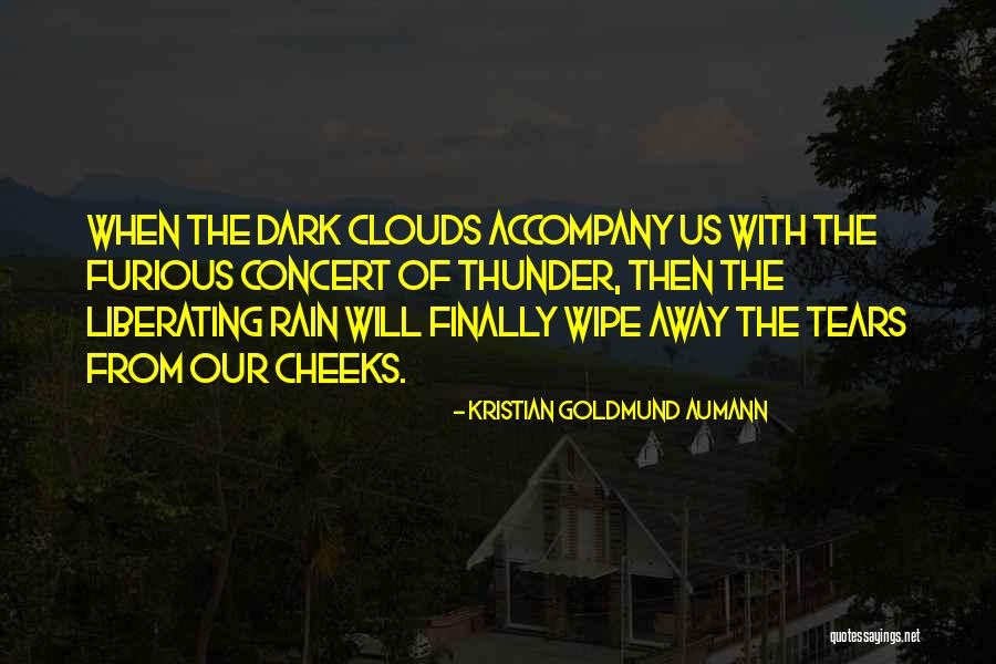 Wipe Away My Tears Quotes By Kristian Goldmund Aumann