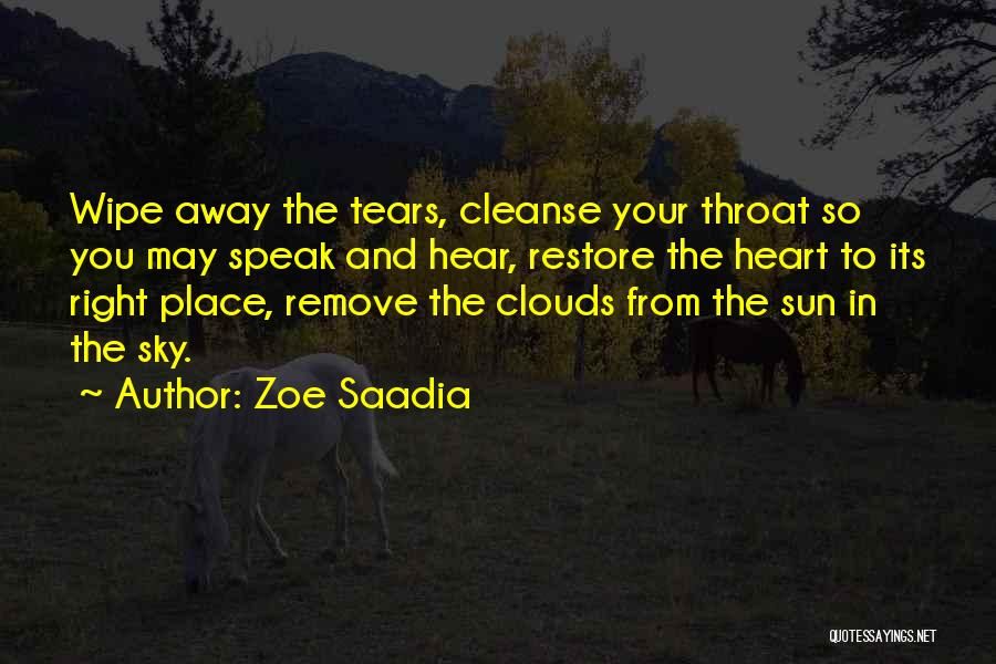 Wipe Away My Tears Quotes By Zoe Saadia