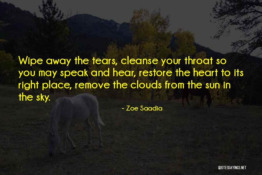 Wipe Away My Tears Quotes By Zoe Saadia