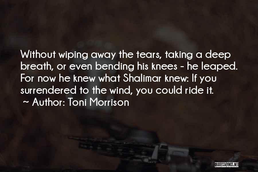Wiping Away Tears Quotes By Toni Morrison