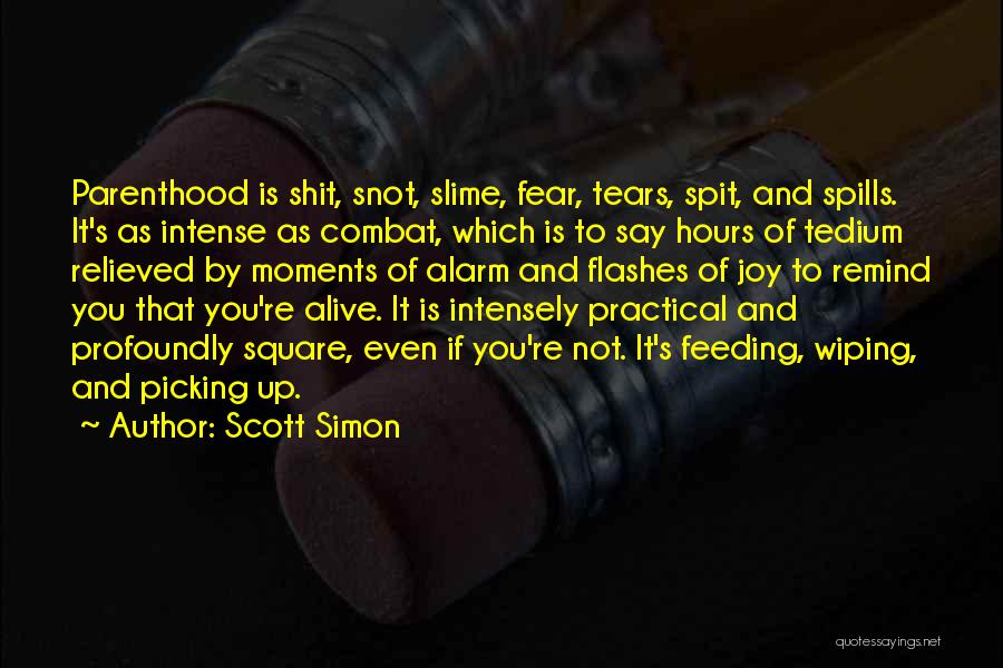 Wiping Quotes By Scott Simon