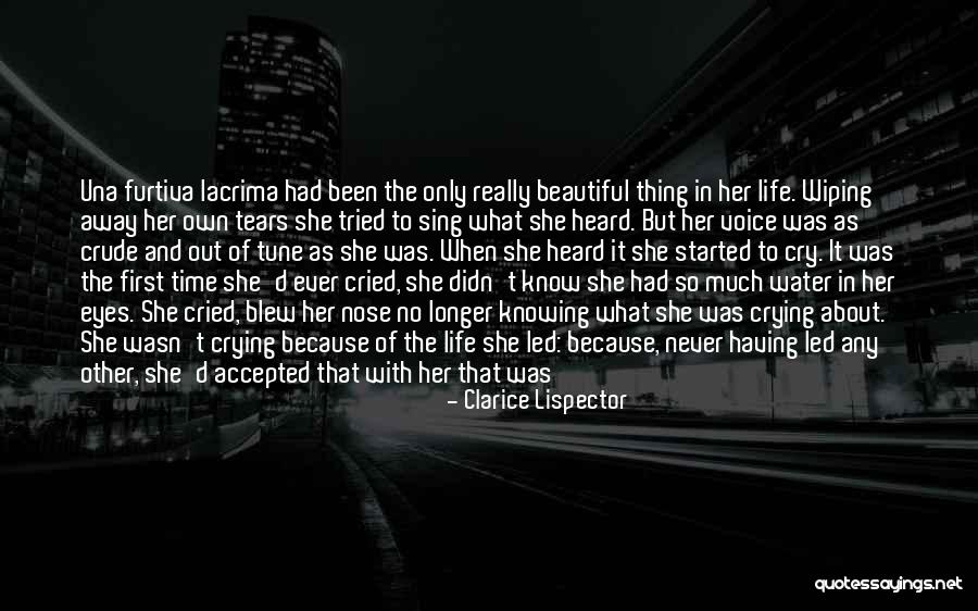 Wiping Tears Quotes By Clarice Lispector Wiping Tears Quotes By Clarice Lispector