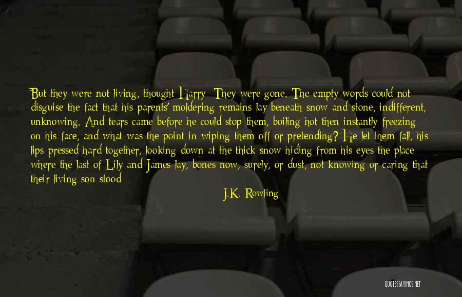 Wiping Tears Quotes By J.K. Rowling Wiping Tears Quotes By J.K. Rowling