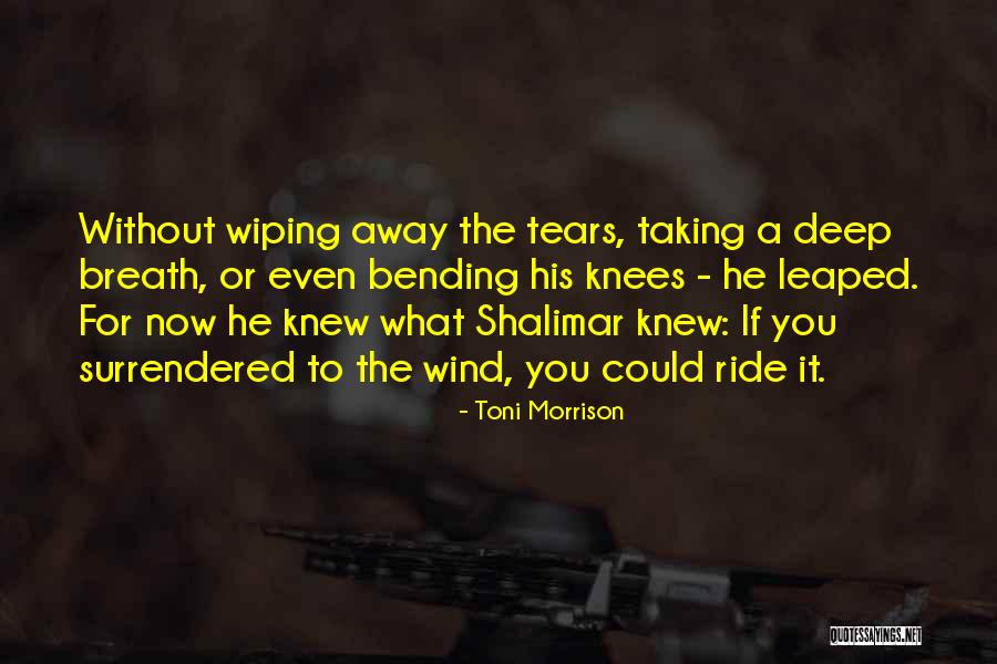Wiping Tears Quotes By Toni Morrison Wiping Tears Quotes By Toni Morrison