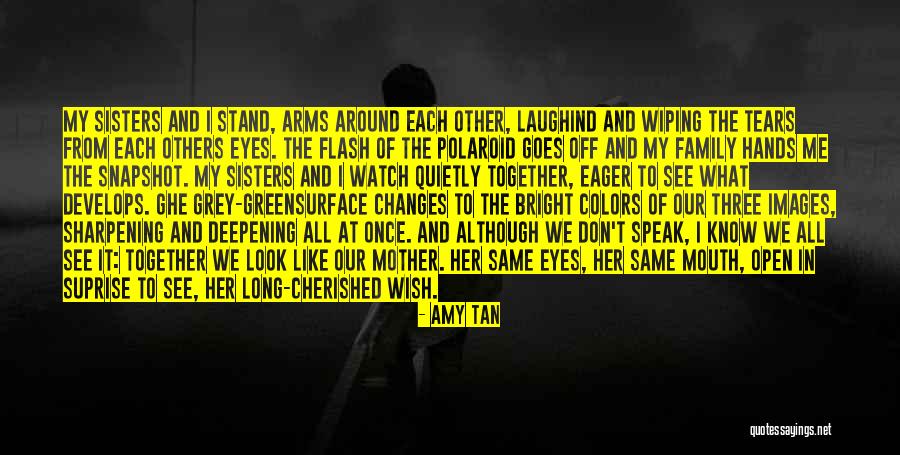 Wiping Your Tears Quotes By Amy Tan Wiping Your Tears Quotes By Amy Tan