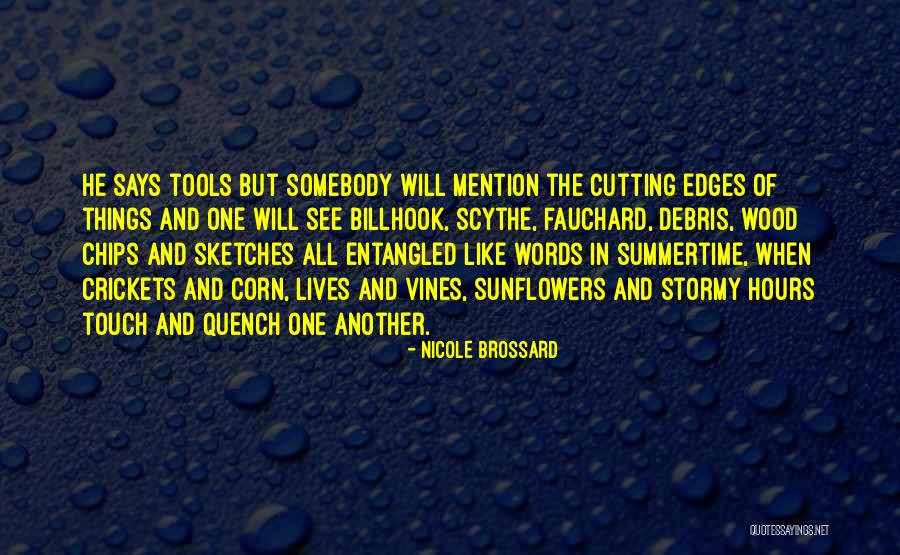 Wire Opening Scene Quotes By Nicole Brossard Wire Opening Scene Quotes By Nicole Brossard