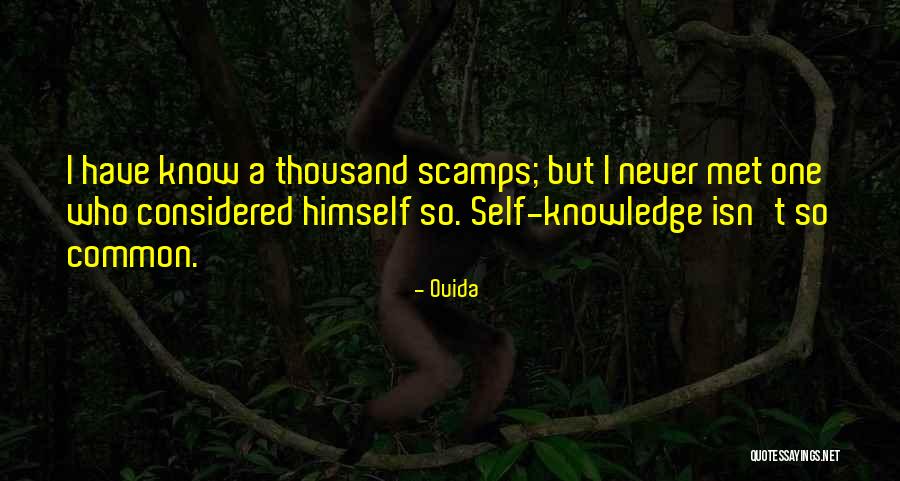 Wireframes Website Quotes By Ouida Wireframes Website Quotes By Ouida
