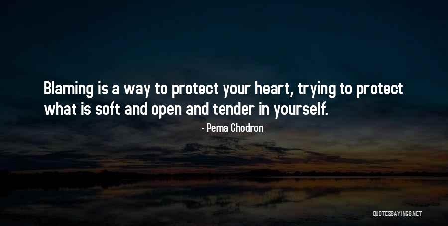Wireimage France Quotes By Pema Chodron Wireimage France Quotes By Pema Chodron