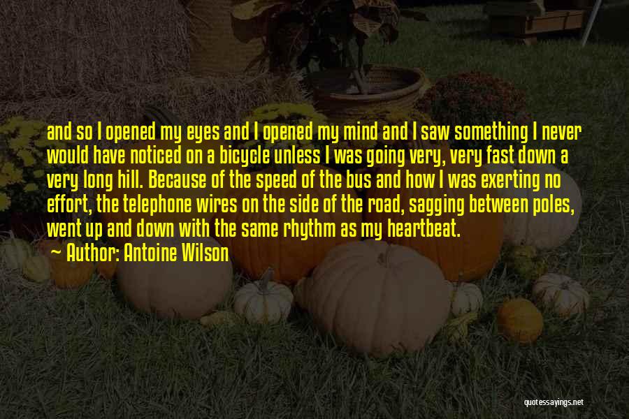 Wires Quotes By Antoine Wilson