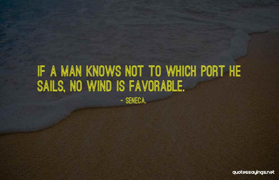 Wiron Quotes By Seneca. Wiron Quotes By Seneca.