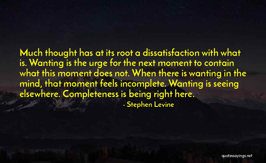 Wirtschaftsingenieurwesen Quotes By Stephen Levine Wirtschaftsingenieurwesen Quotes By Stephen Levine