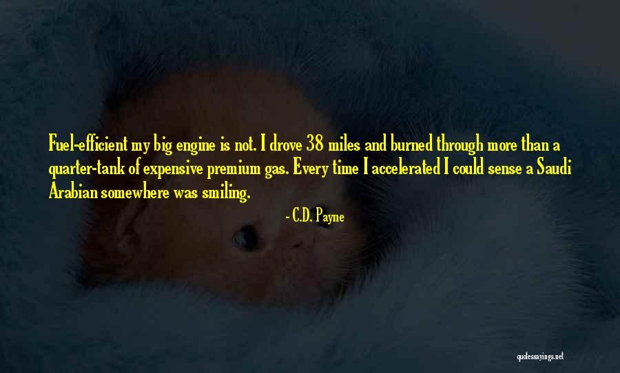 Wirtshafter Amery Quotes By C.D. Payne Wirtshafter Amery Quotes By C.D. Payne